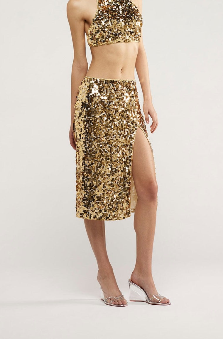 HS23 Night Sequins Skirt