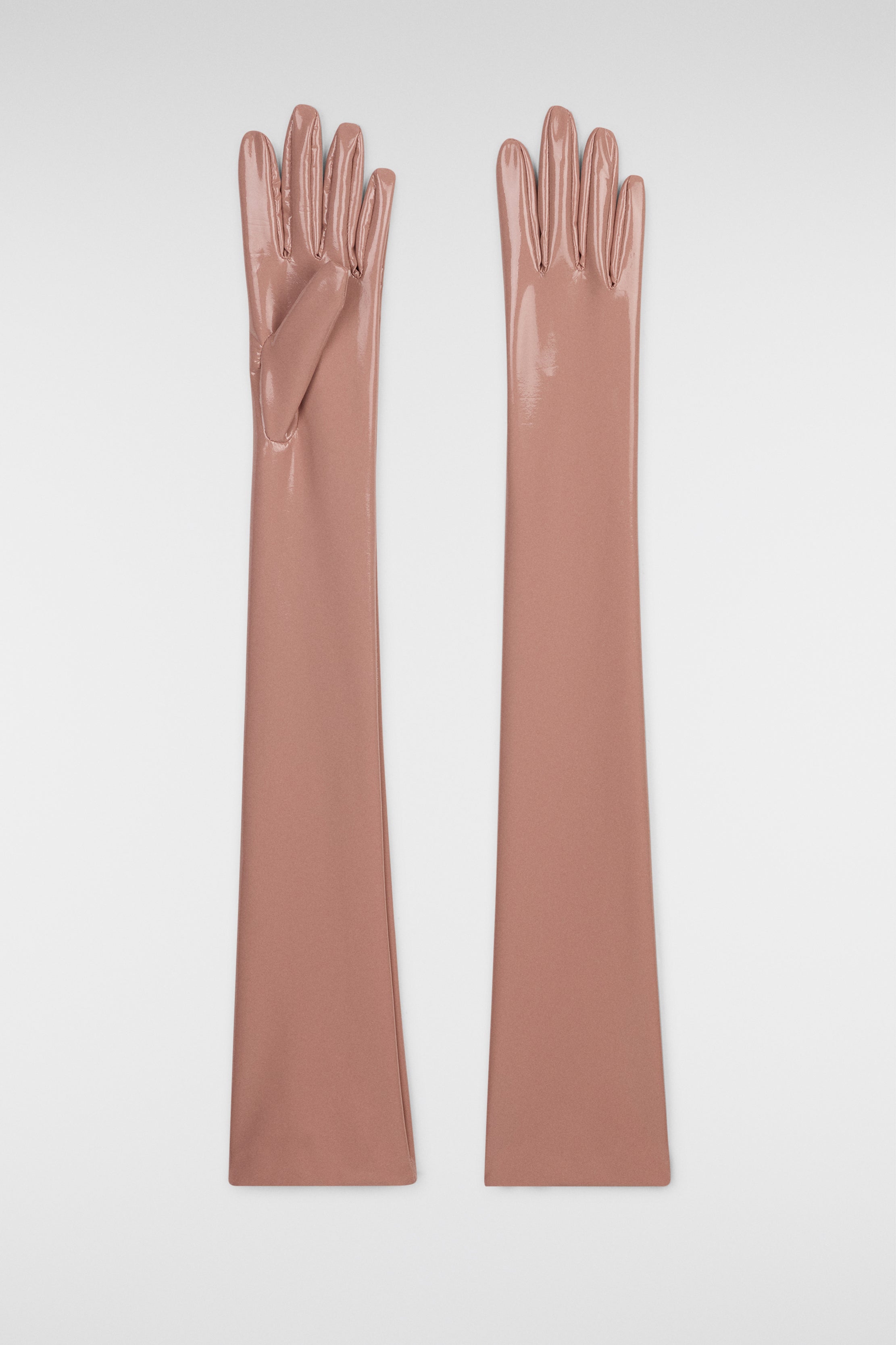 Latex Gloves