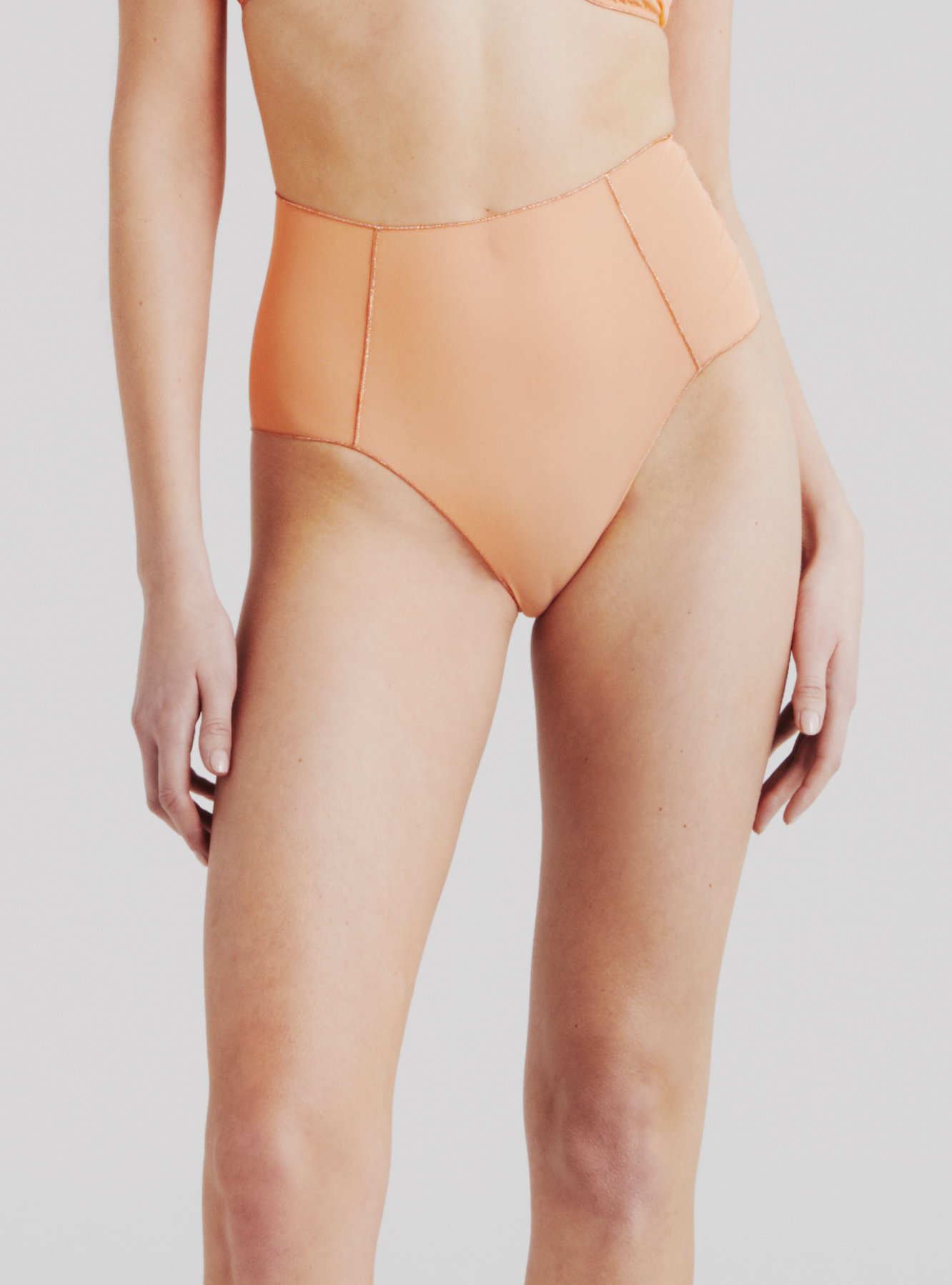 Mesh Cut High Waisted Slip