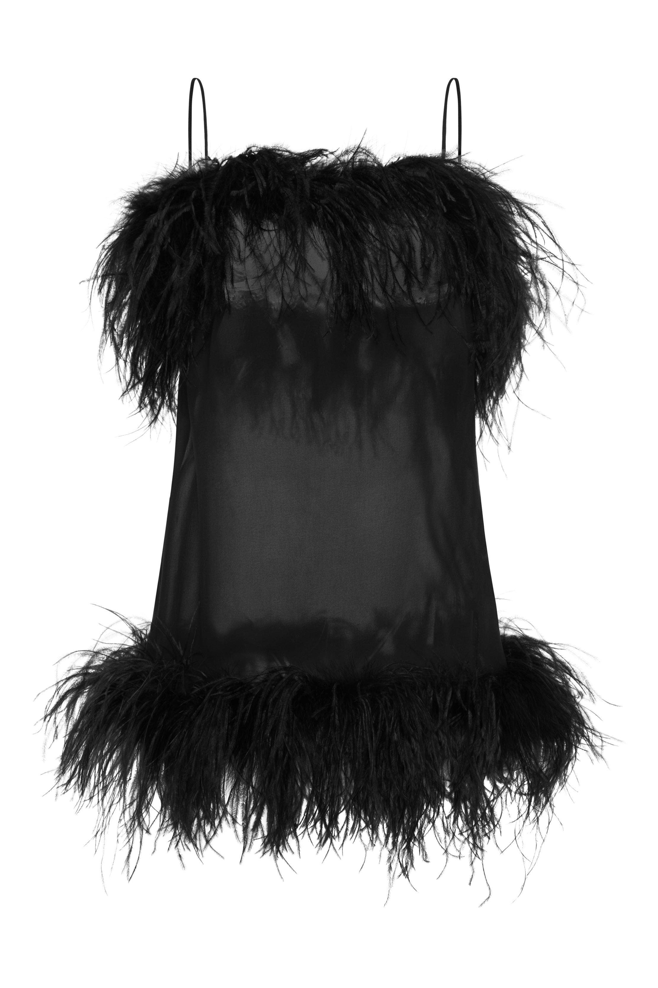 Plumage Mini Dress