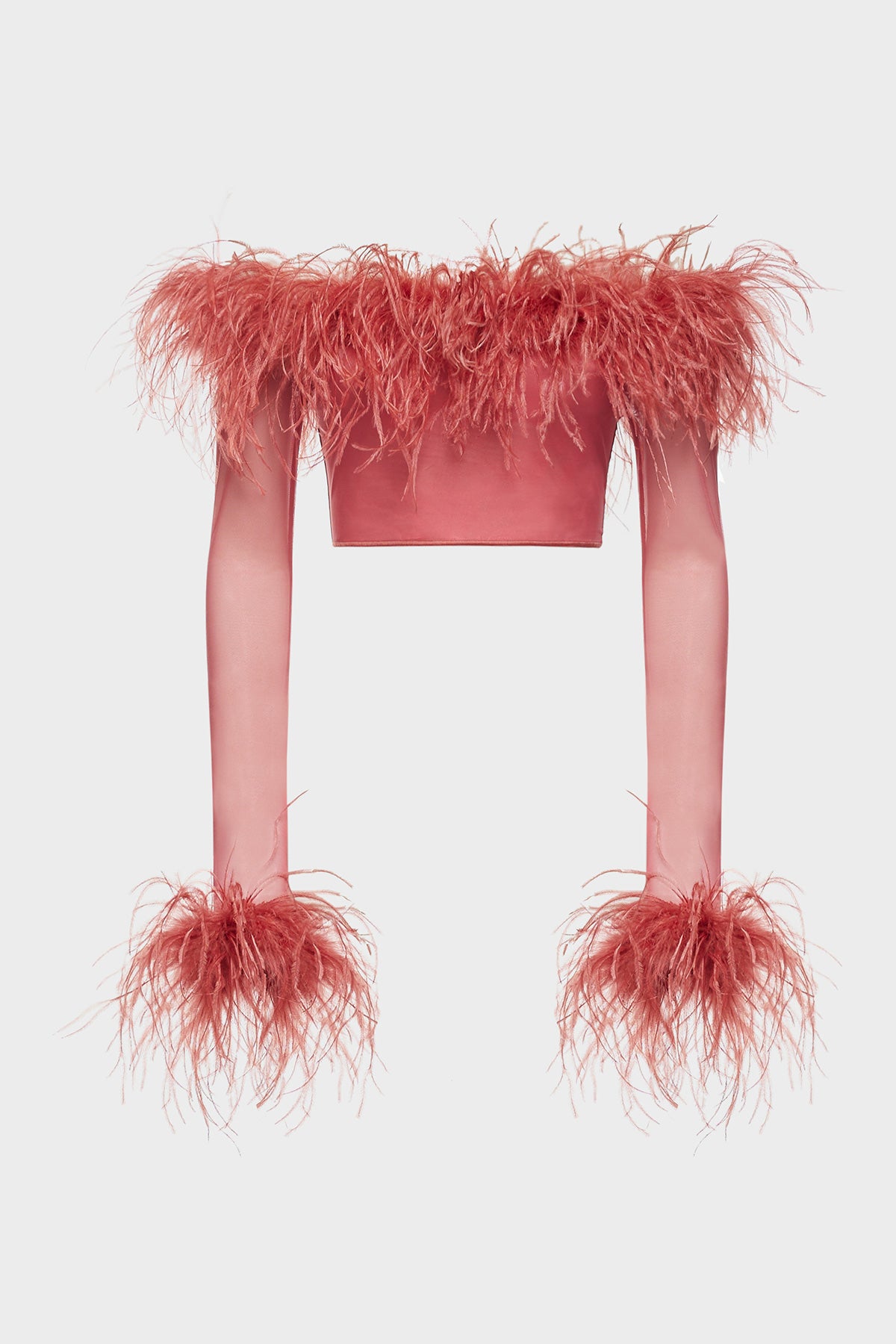 SS25 Lame Plumage Top